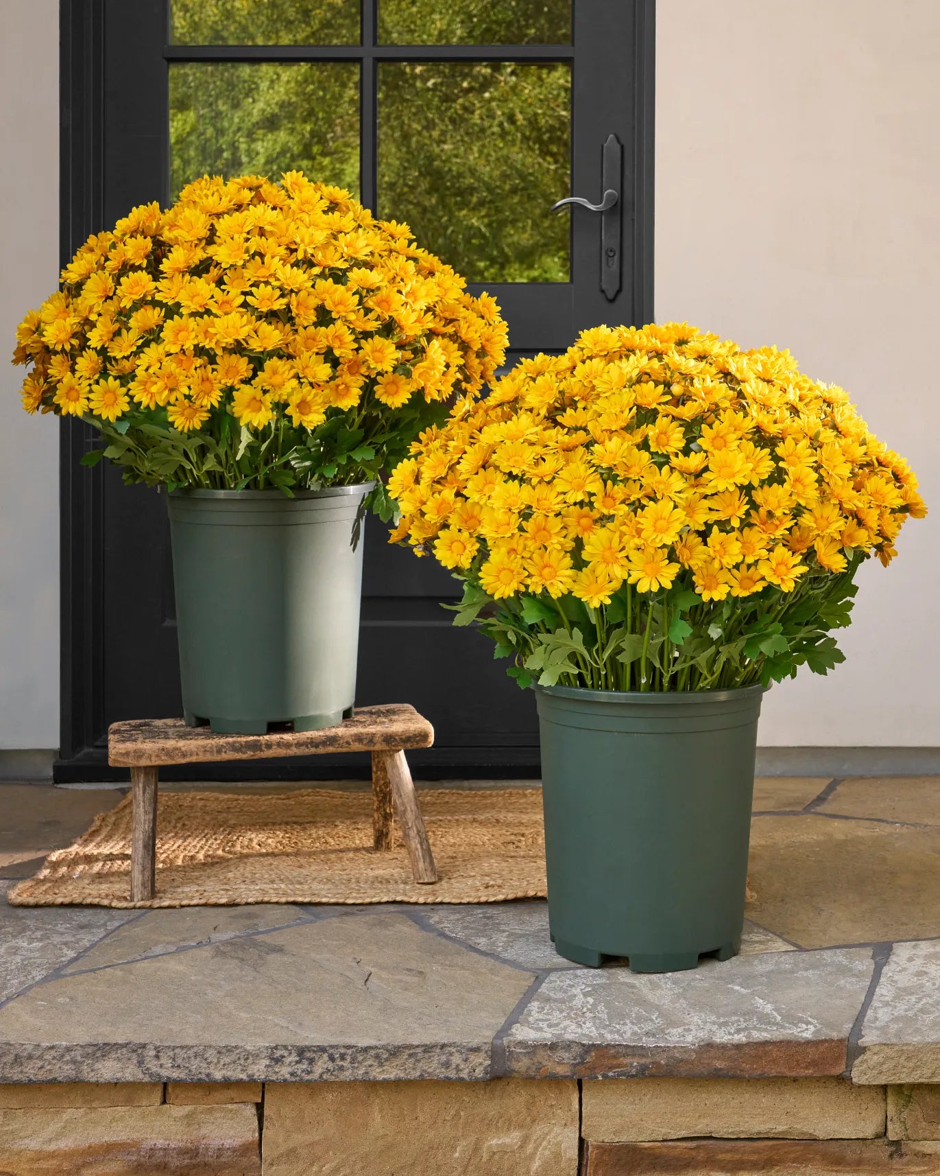 💥ON SALE💥- Artificial Outdoor Sunset Mums Flowers - UV resistant, Wa
