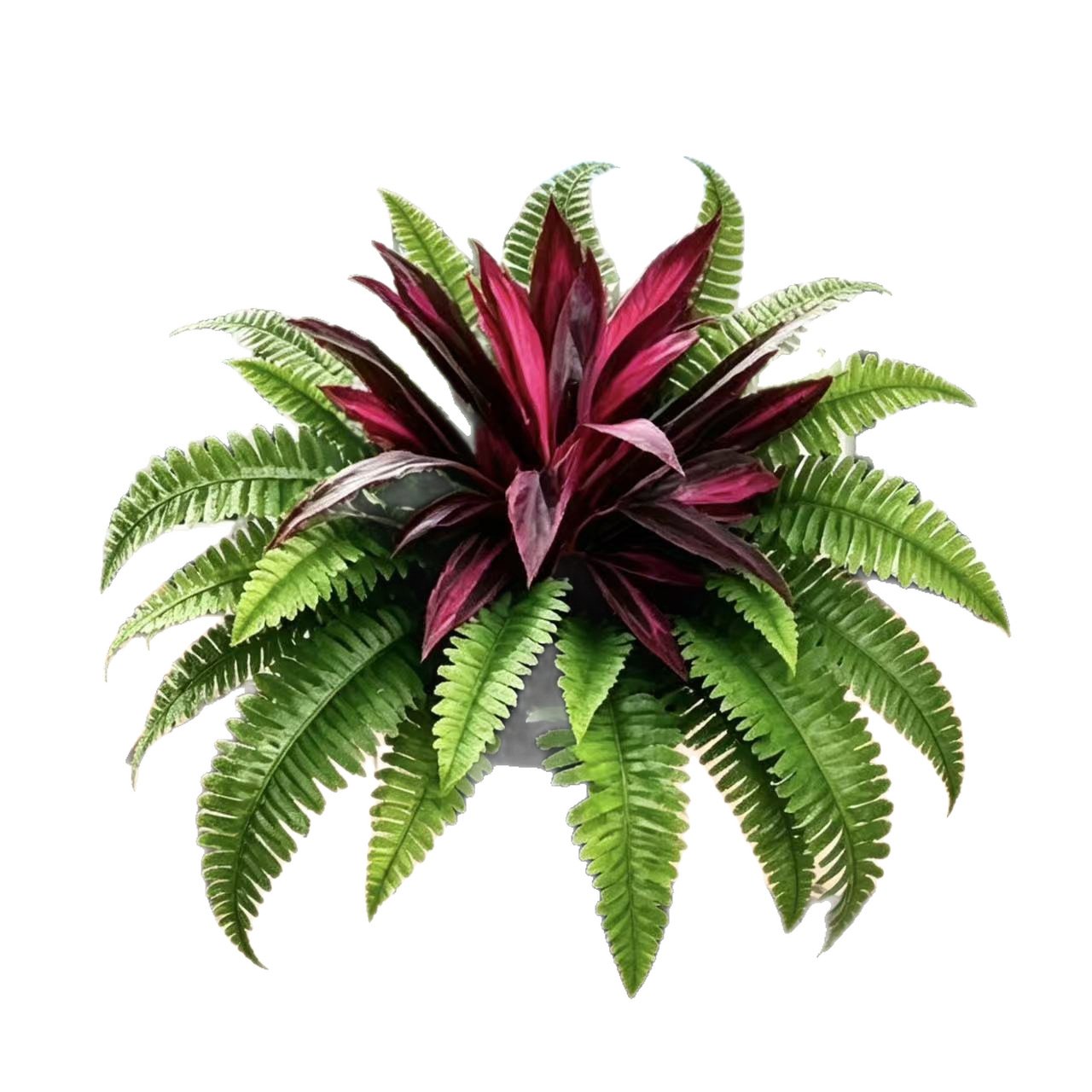💥Summer Special🔥 UV-resistant artificial ferns & red dragon trees – Full, lush, and colorfast!