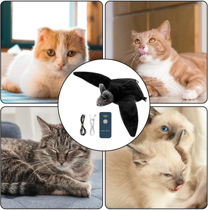 Interactive Electric Bat-Cat Toy🦇
