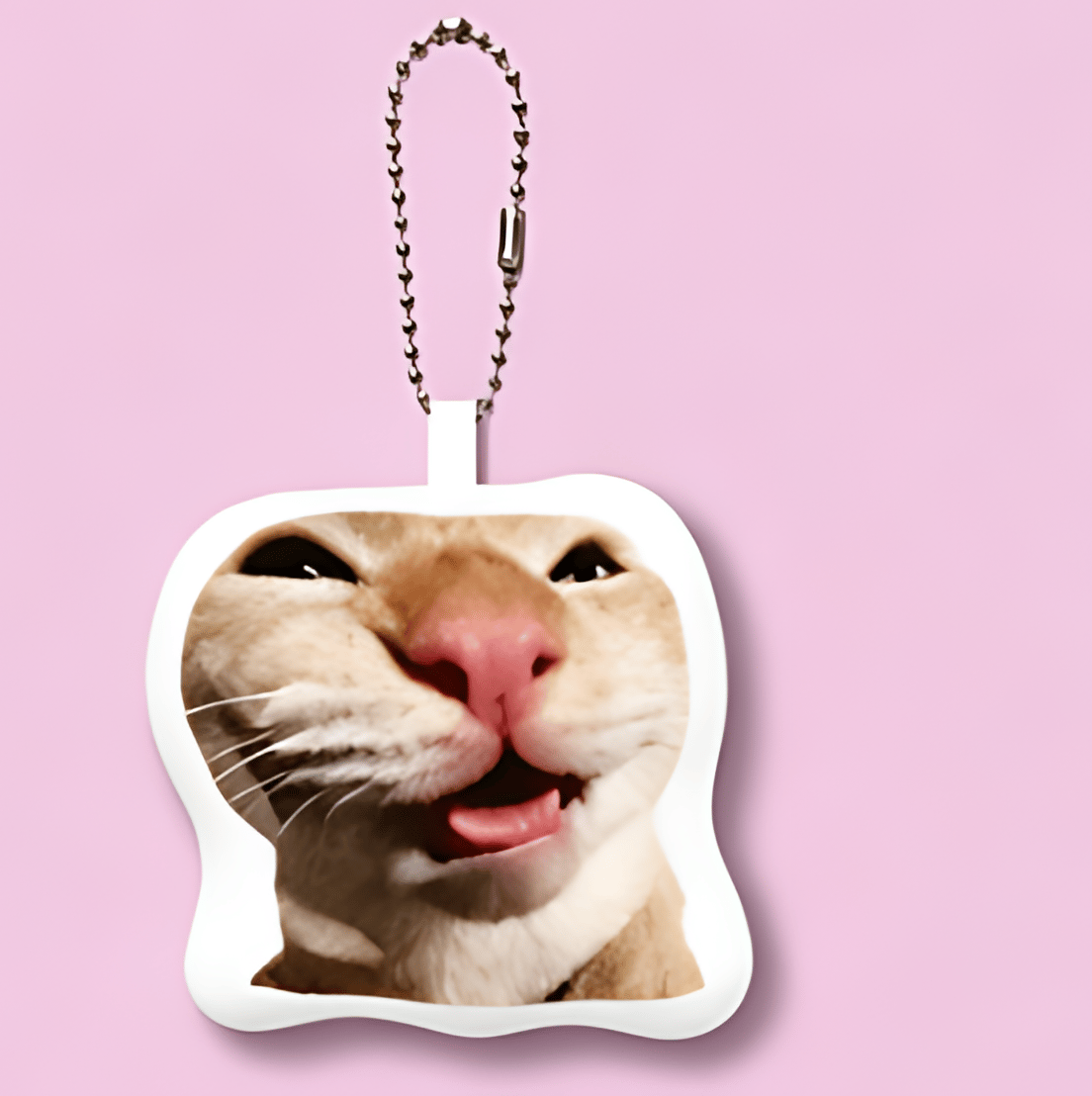 Rechargeable Meme Sound Keychain