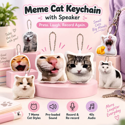 Rechargeable Meme Sound Keychain