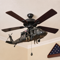 UH-60 Black Hawk