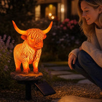 Solar Highland Cow