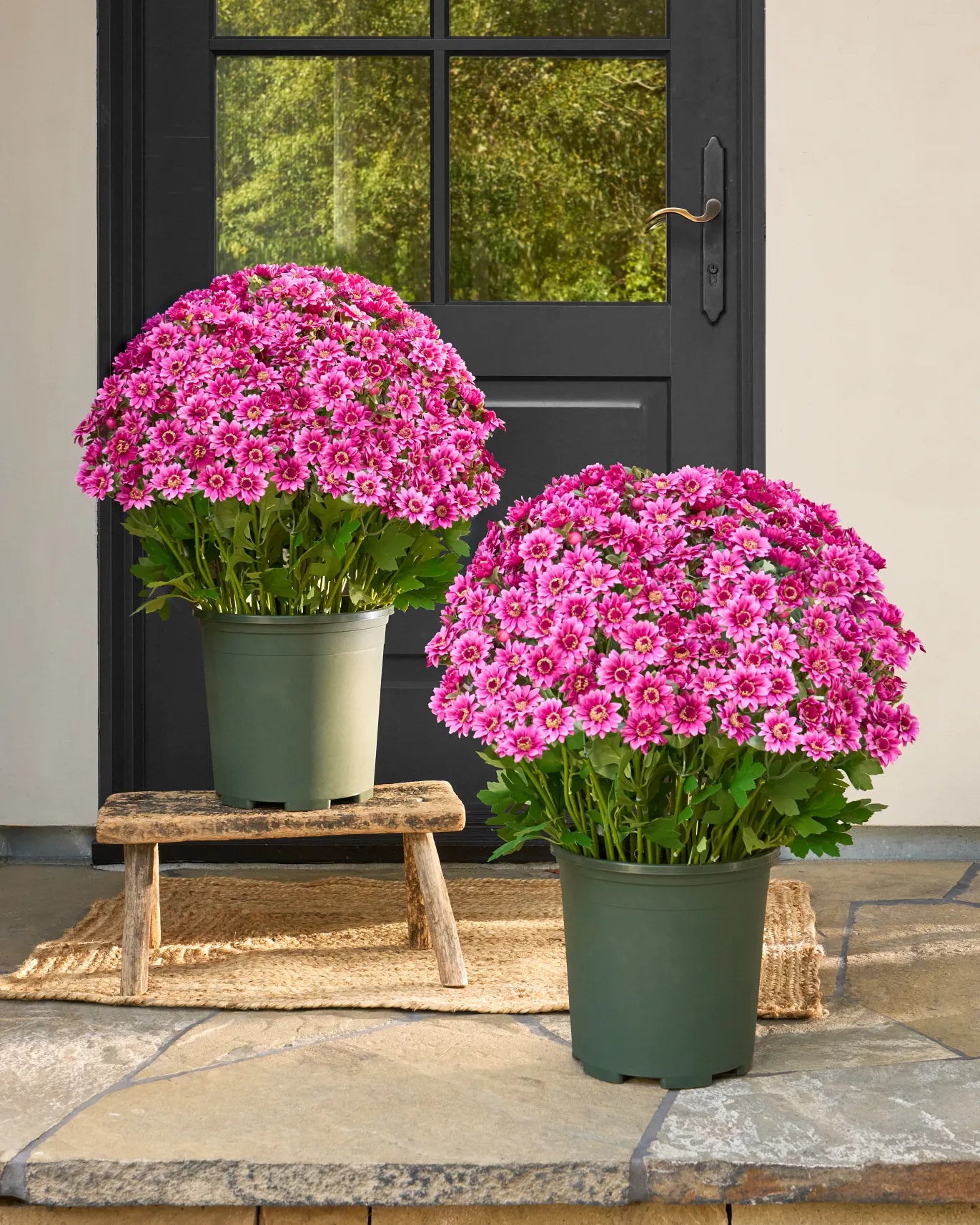 💥ON SALE💥- Artificial Outdoor Sunset Mums Flowers - UV resistant, Wa