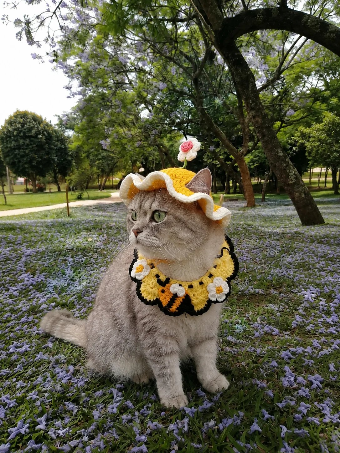 🐱 Handmade Crochet Kitty Hat - Turn your furry little roommate into the star of every photo