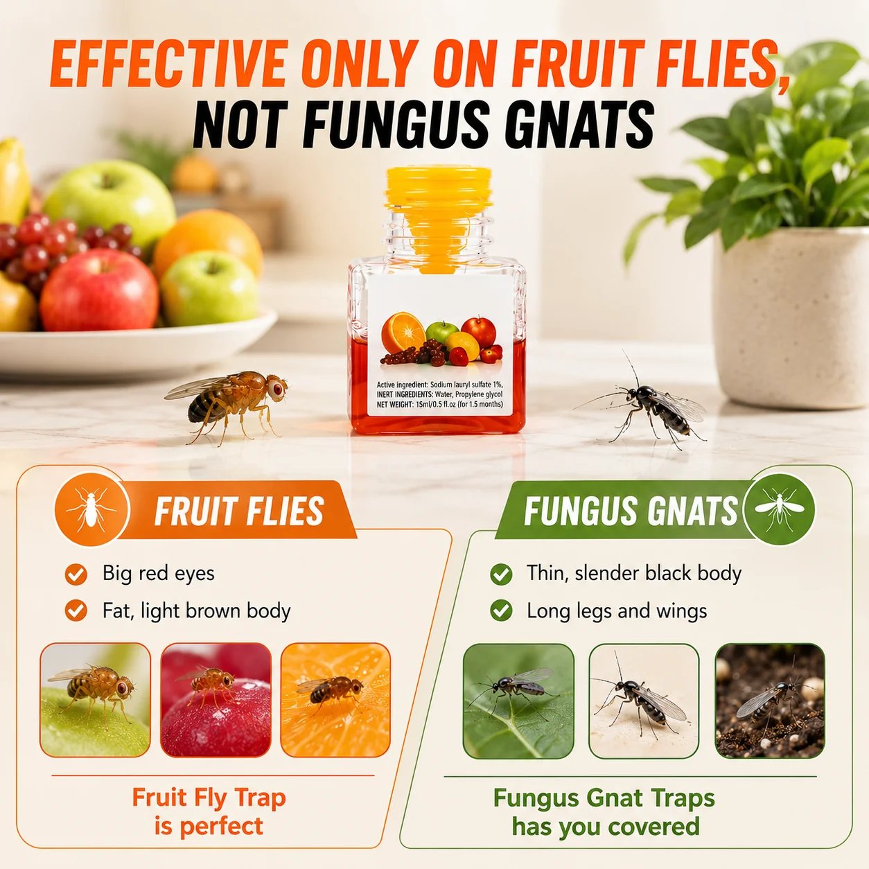 LAST DAY BUY 2 GET 1 FREE🔥Ultra-Strong Fruit Fly Trap - User Friendly (Up to 3 Weeks per Bottle)
