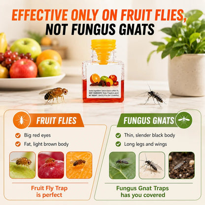 LAST DAY BUY 2 GET 1 FREE🔥Ultra-Strong Fruit Fly Trap - User Friendly (Up to 3 Weeks per Bottle)