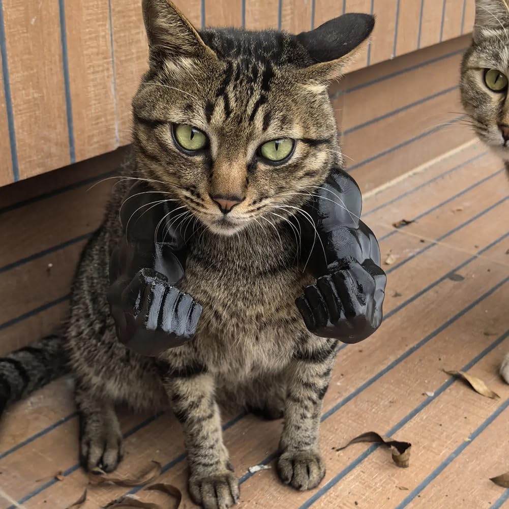 🐱💪3D Printed Cat Muscle Arm