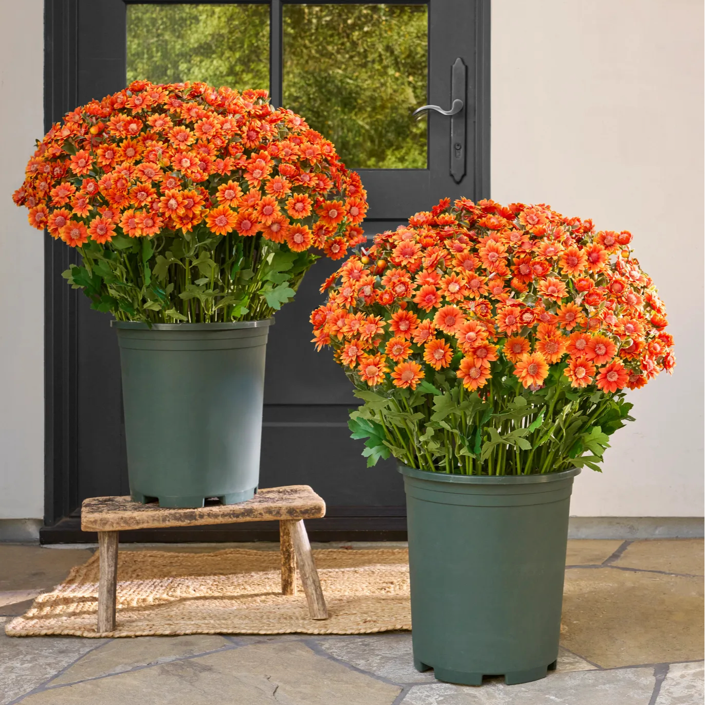 💥ON SALE💥- Artificial Outdoor Sunset Mums Flowers - UV resistant, Wa