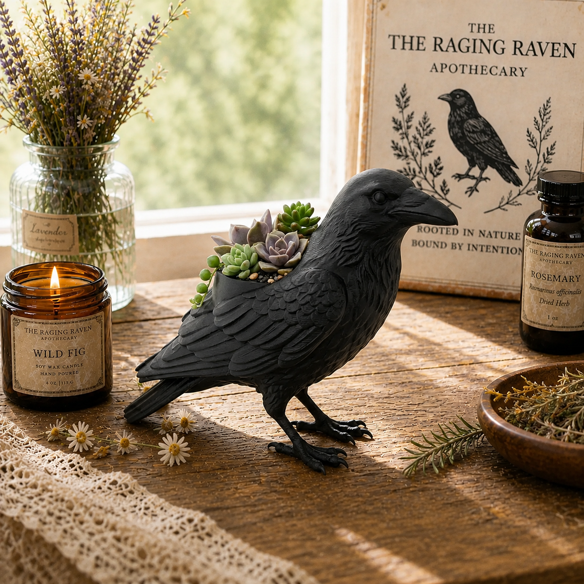 🎁Last Day 50% OFF - Crow Succulent Pot