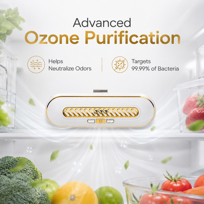Rechargeable Portable Fridge Sterilizer
