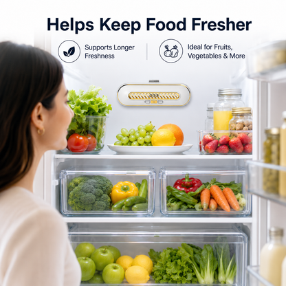 Rechargeable Portable Fridge Sterilizer