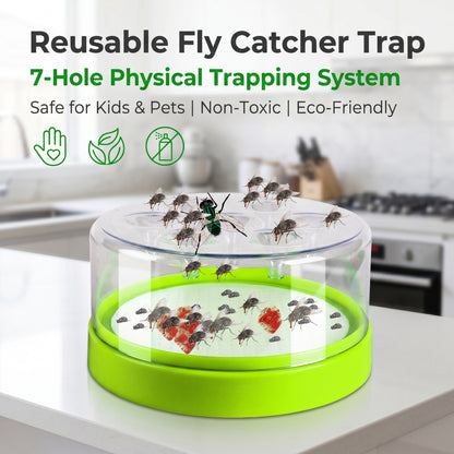 🔌✅ Reusable fly trap—no electricity, 🏠 Safe to use in the kitchen and around children and pets.