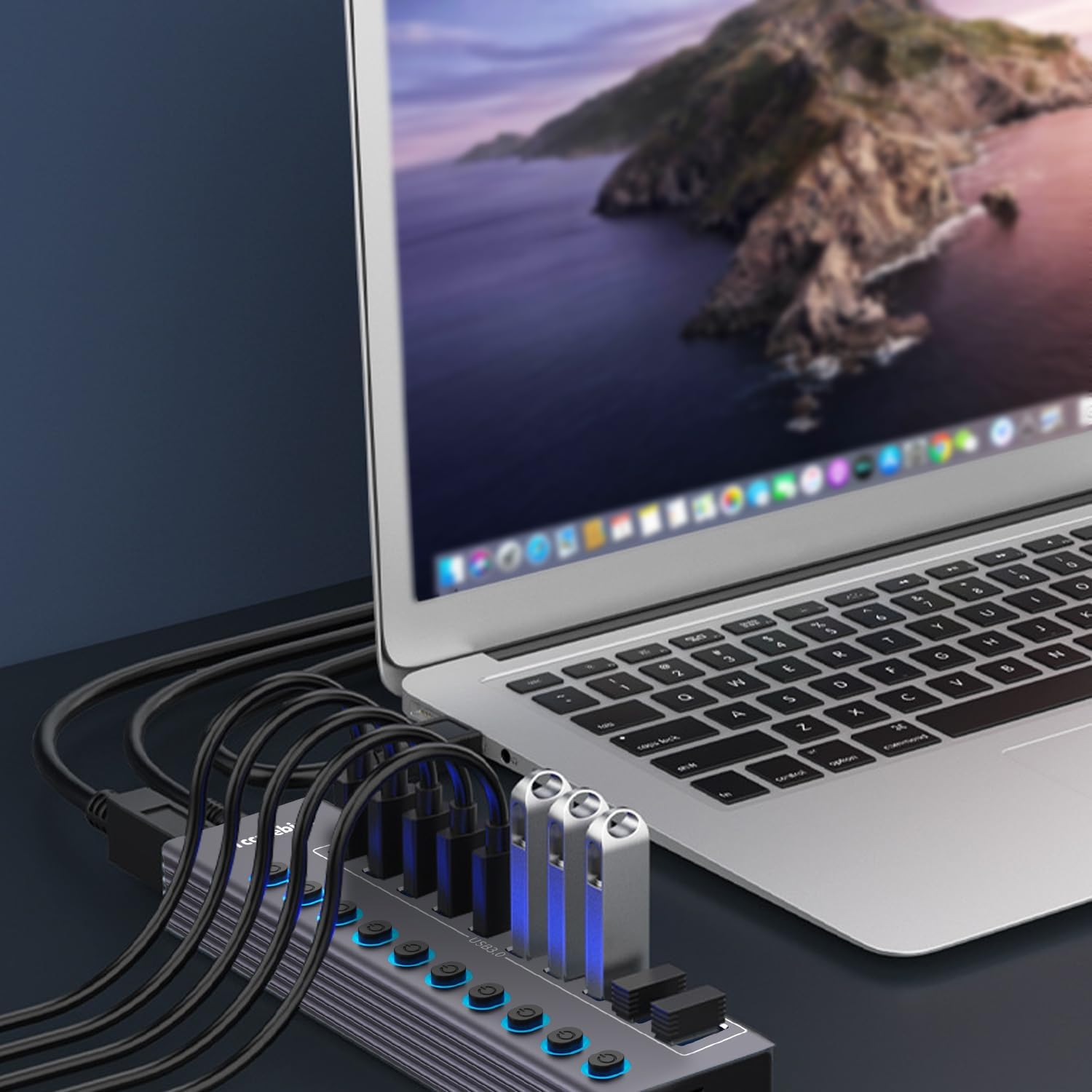 Powered 10-Port USB 3.0 Hub, USB C to 10 Ports USB Data Hub Splitter with Individual LED On/Off Switche, 3.3FT Cable, 12V/3A Power Adapter