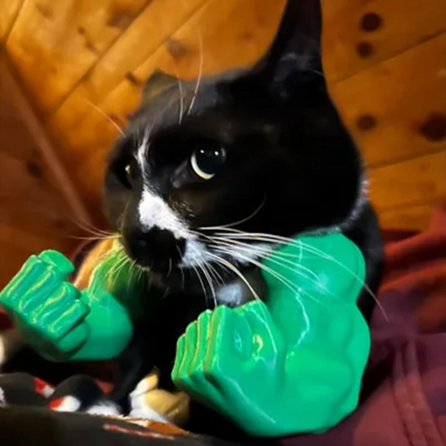 🐱💪3D Printed Cat Muscle Arm
