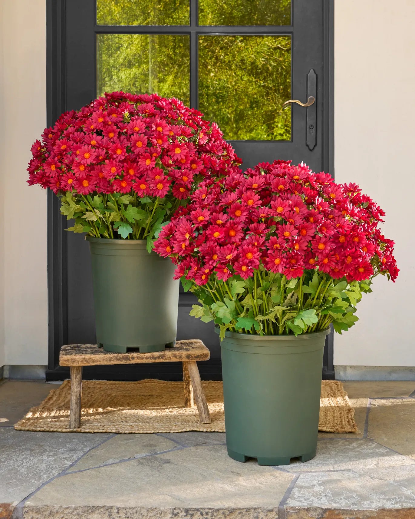 💥ON SALE💥- Artificial Outdoor Sunset Mums Flowers - UV resistant, Wa