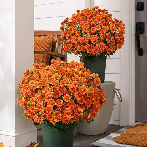 💥ON SALE💥- Artificial Outdoor Sunset Mums Flowers - UV resistant, Wa