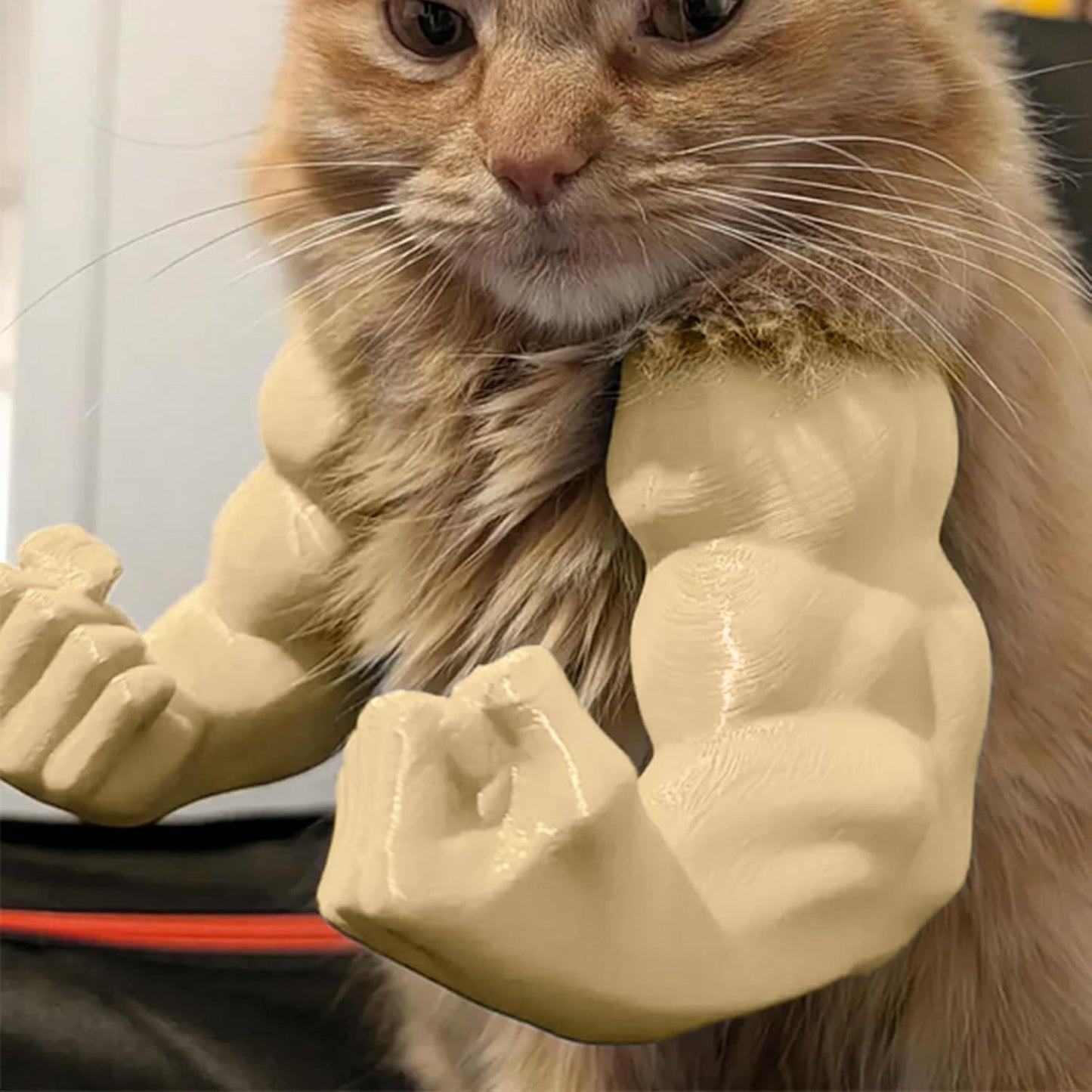 🐱💪3D Printed Cat Muscle Arm