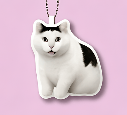 Rechargeable Meme Sound Keychain