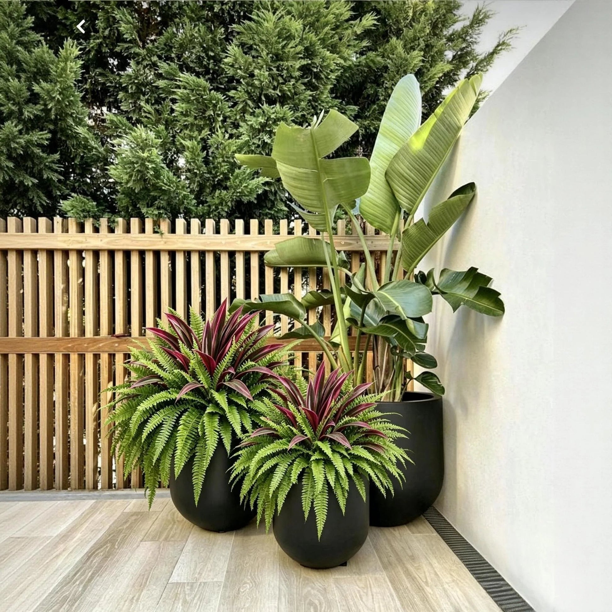 💥Summer Special🔥 UV-resistant artificial ferns & red dragon trees – Full, lush, and colorfast!